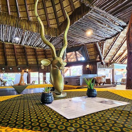 Ditholo Game Lodge Bela Bela Extérieur photo
