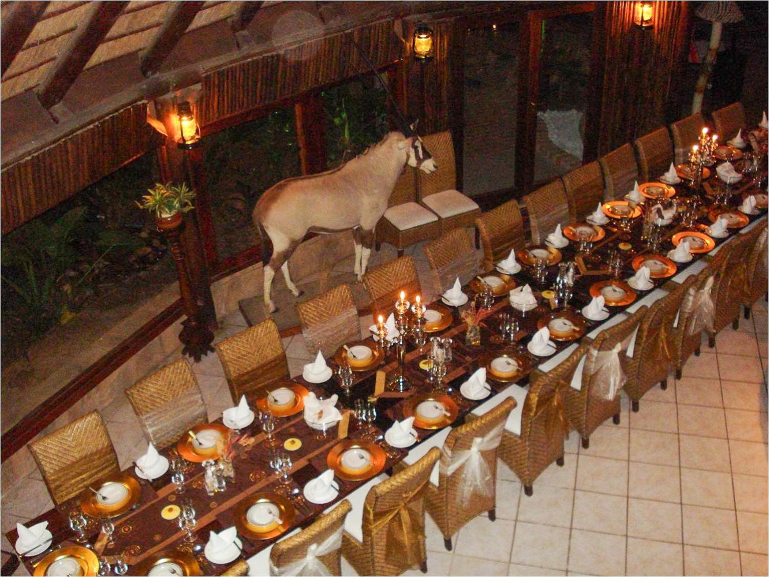 Ditholo Game Lodge Bela Bela Extérieur photo
